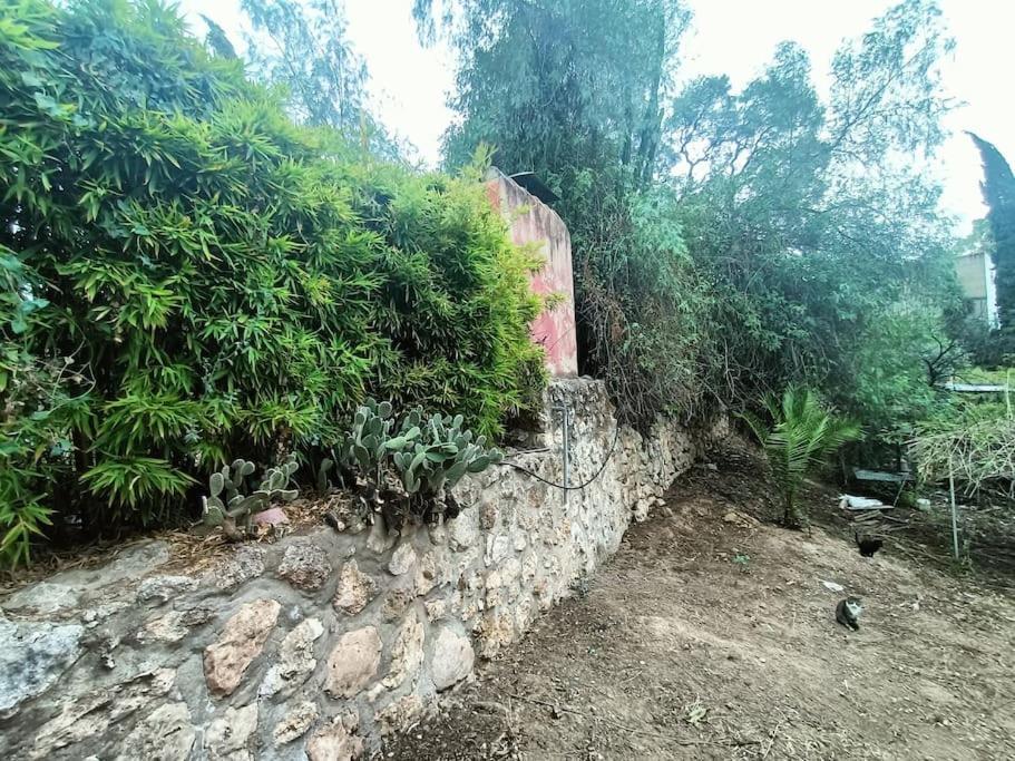 Casa Rural En El Campo Con Animales, Piscina Y Barbacoa Almodóvar del Río المظهر الخارجي الصورة