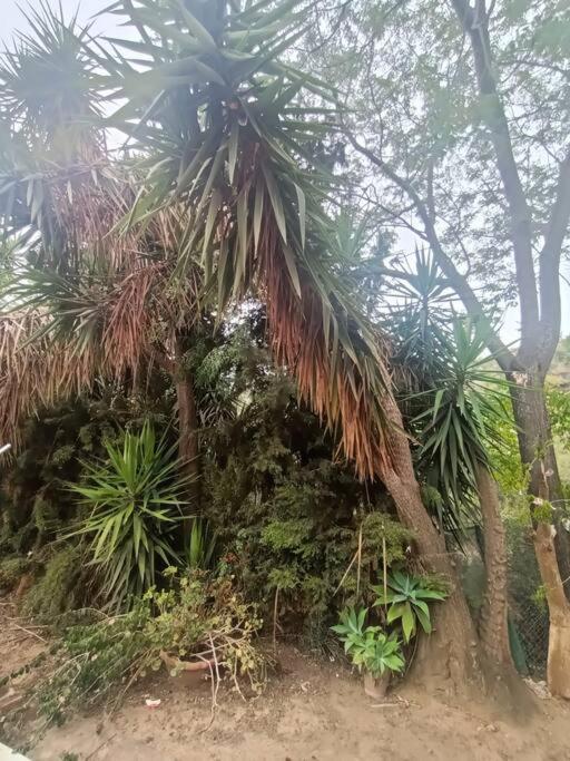 Casa Rural En El Campo Con Animales, Piscina Y Barbacoa Almodóvar del Río المظهر الخارجي الصورة