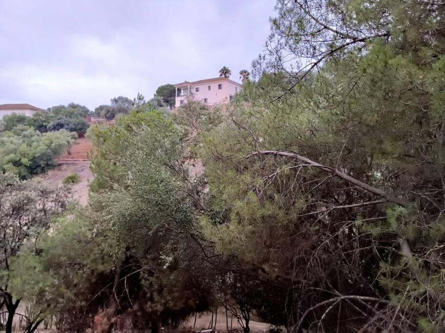 Casa Rural En El Campo Con Animales, Piscina Y Barbacoa Almodóvar del Río المظهر الخارجي الصورة