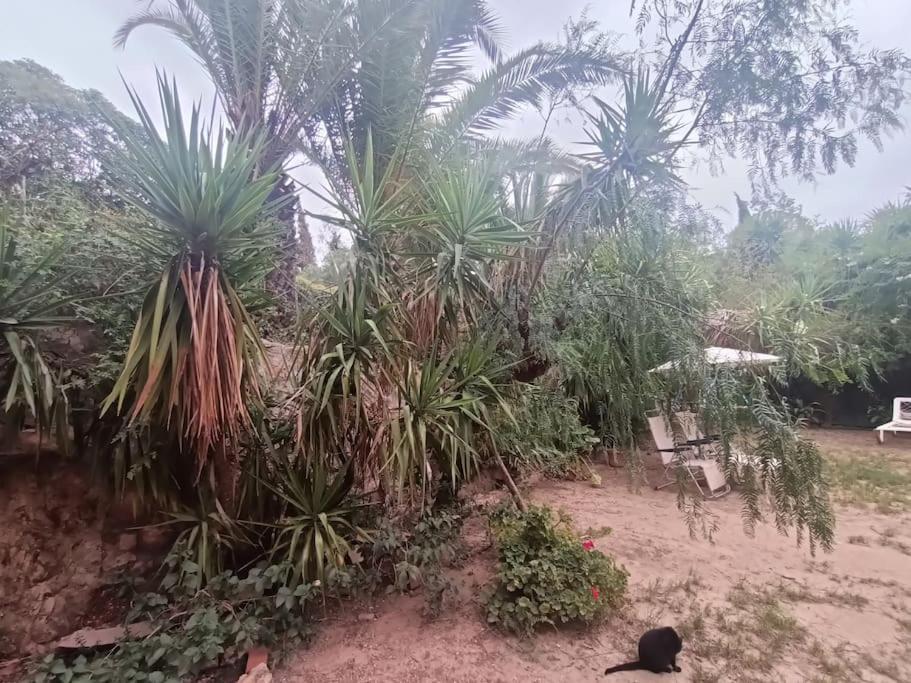 Casa Rural En El Campo Con Animales, Piscina Y Barbacoa Almodóvar del Río المظهر الخارجي الصورة