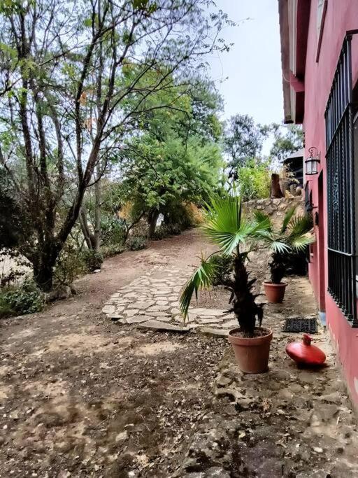 Casa Rural En El Campo Con Animales, Piscina Y Barbacoa Almodóvar del Río المظهر الخارجي الصورة